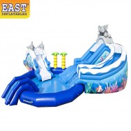 Parco Acquatico Gonfiabile Dolphin Parco Acquatico Gonfiabile Dolphin