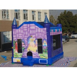 Princess Bounce House Princess Bounce House