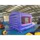 Jumping Castle With Slide