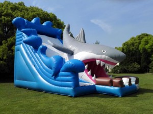 Un Piccolo Buco in un Castello Gonfiabile: È Ancora Utilizzabile?